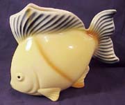 royal copley Fish